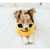 ZippyPaws Squeakie Emojiz Cool Dude Dog Toy - Kohepets