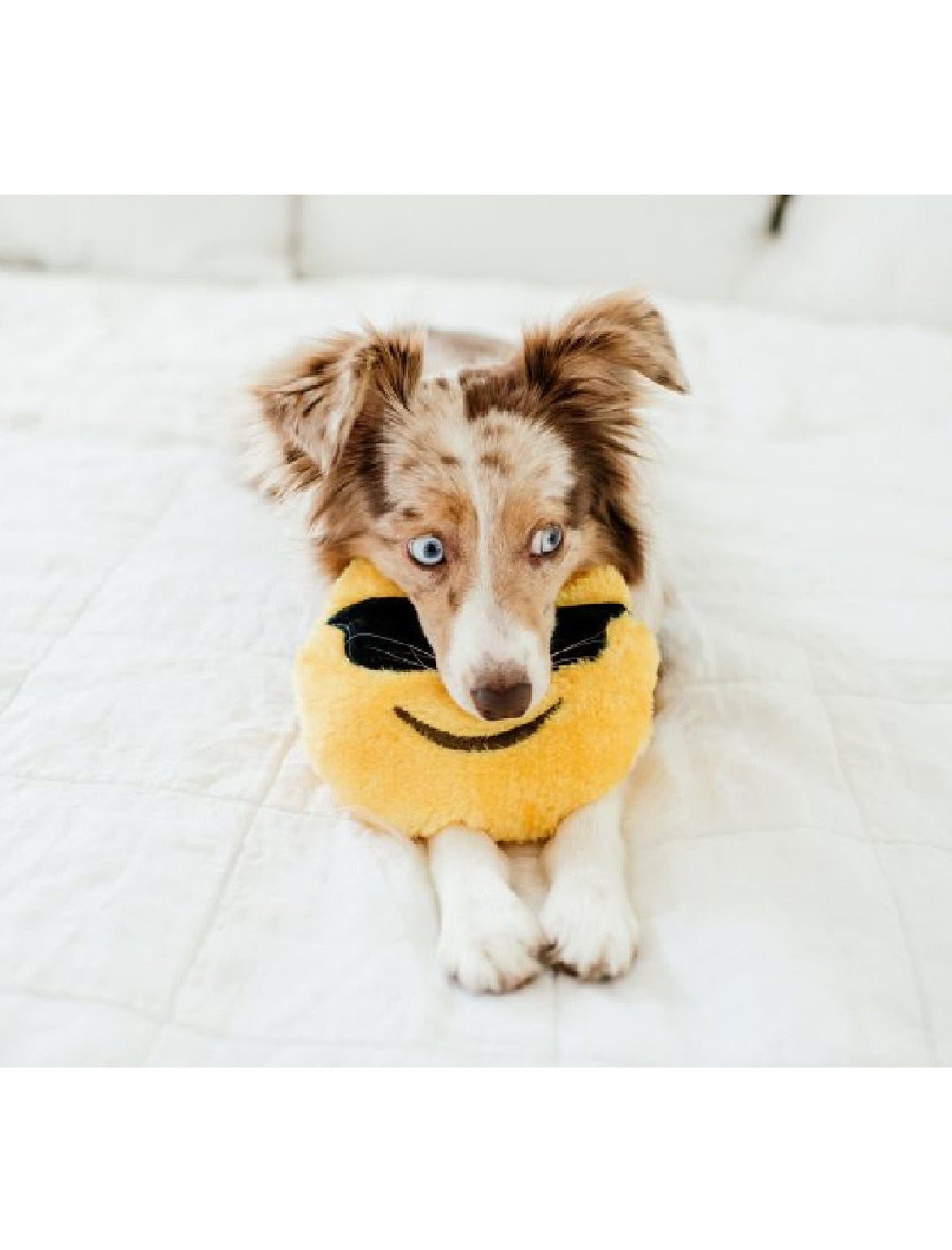 ZippyPaws Squeakie Emojiz Cool Dude Dog Toy - Kohepets