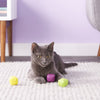 15% OFF: Jackson Galaxy Cat Dice Cat Toy - Kohepets