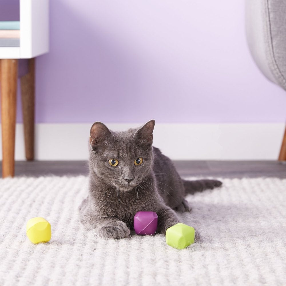 15% OFF: Jackson Galaxy Cat Dice Cat Toy - Kohepets