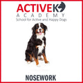 Active K9 Academy Dog Nosework Training Group Class - Kohepets