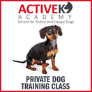 Active K9 Academy Private Dog Training Class