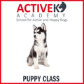 Active K9 Academy Puppy Training Group Class - Kohepets