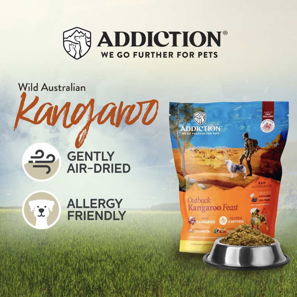 Addiction Outback Kangaroo Feast Grain Free Raw Alternative Dog Food