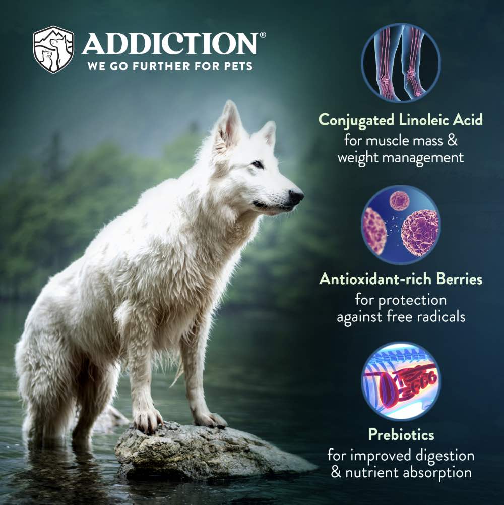 15% OFF: Addiction Outback Kangaroo Feast Grain Free Raw Alternative Dog Food 2lb