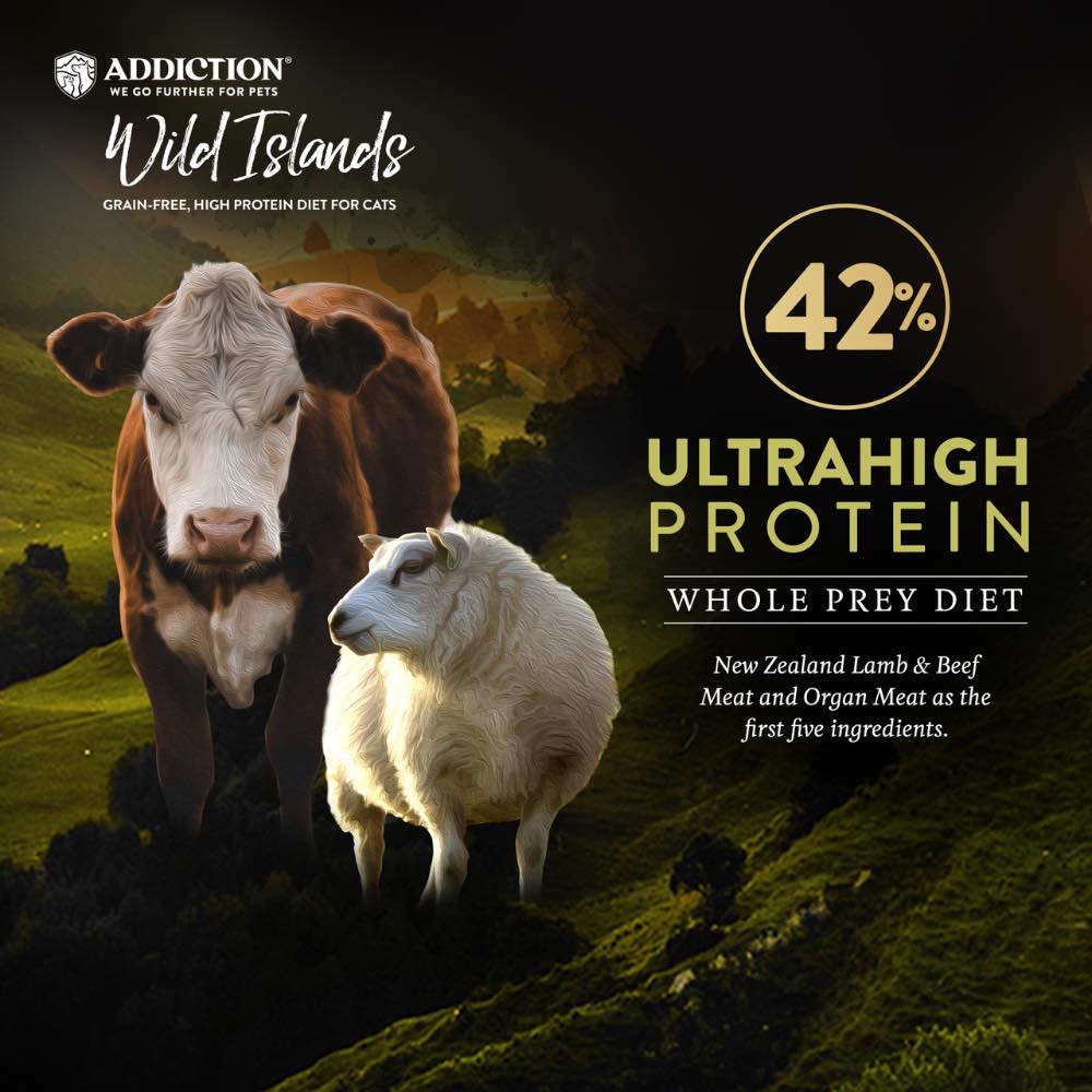 15% OFF: Addiction Wild Islands Highland Meats Recipe Lamb & Beef Grain-Free Dry Cat Food