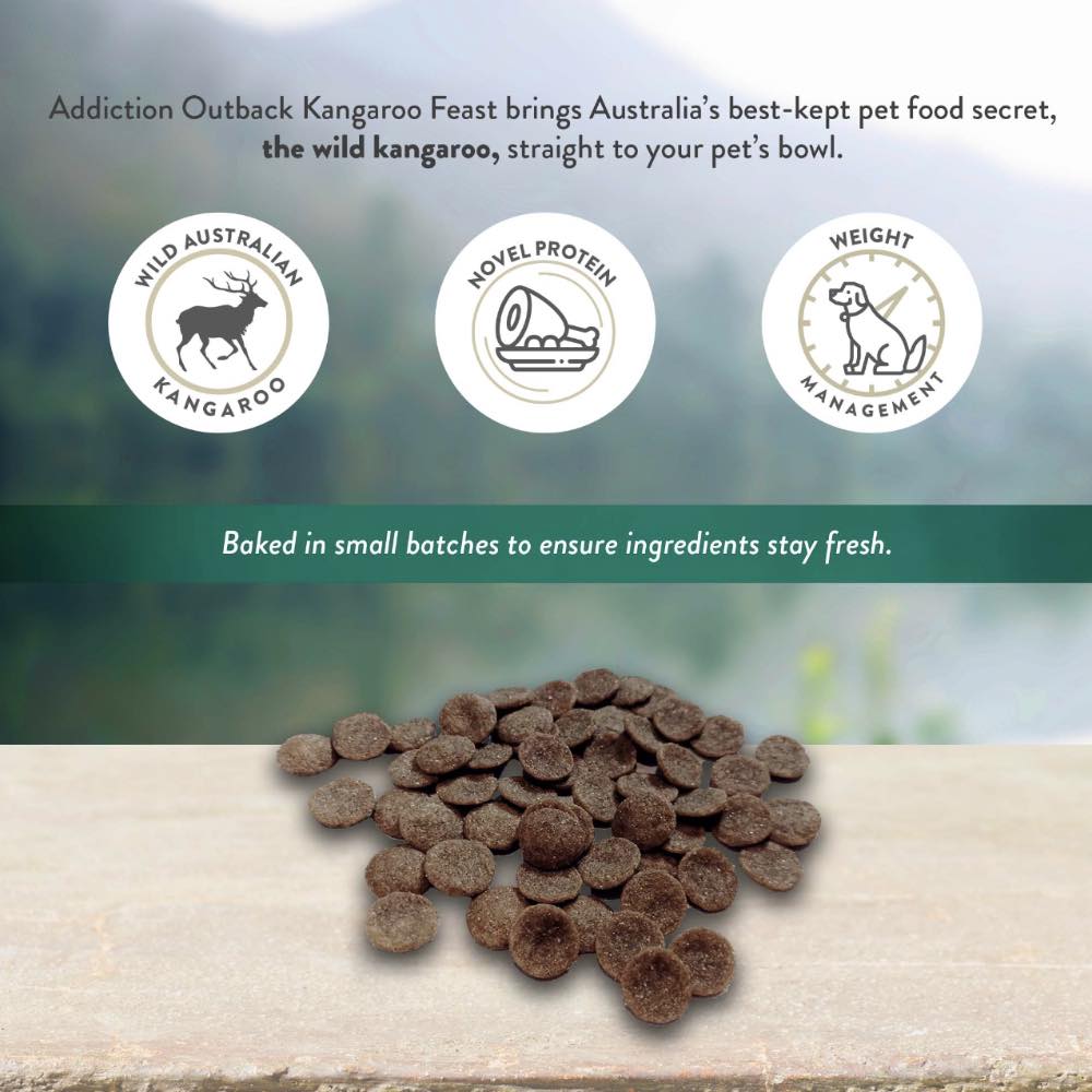 Addiction Wild Kangaroo & Apples Grain Free Dry Dog Food Kohepets