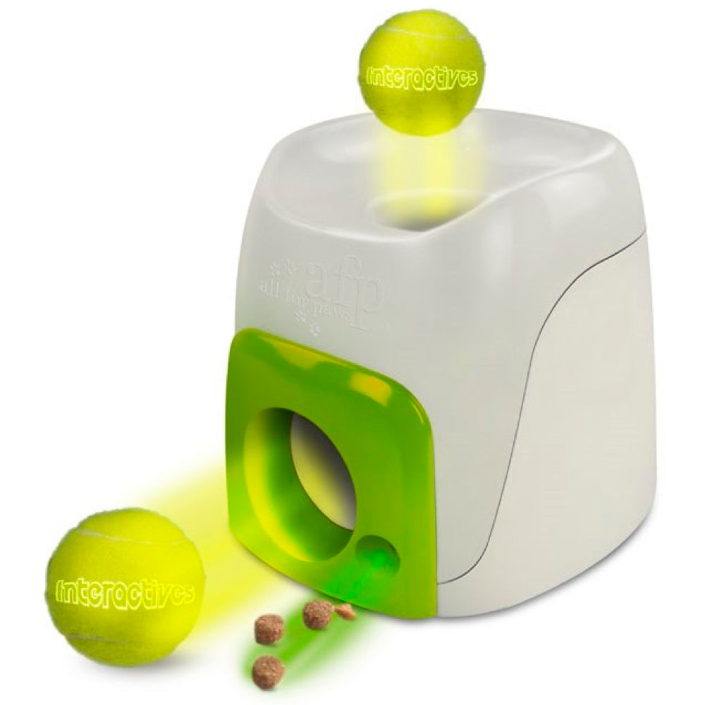 All For Paws Fetch'N Treat Interactive Dog Toy - Kohepets