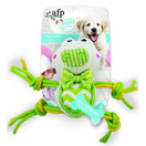 All For Paws Little Buddy Flexi Gator Dog Toy