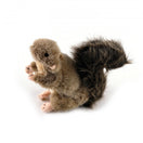 All For Paws Classic Squirrel Plush Dog Toy