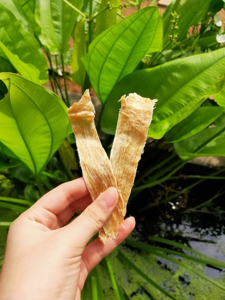 Alpha Origin Crocodile Jerky Grain-Free Dog Treats 80g - Kohepets