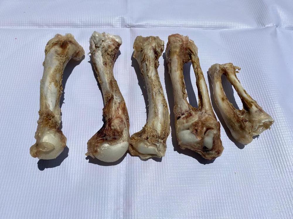 Alpha Origin Dehydrated Crocodile Leg Bones Grain-Free Dog Chews 400g - Kohepets