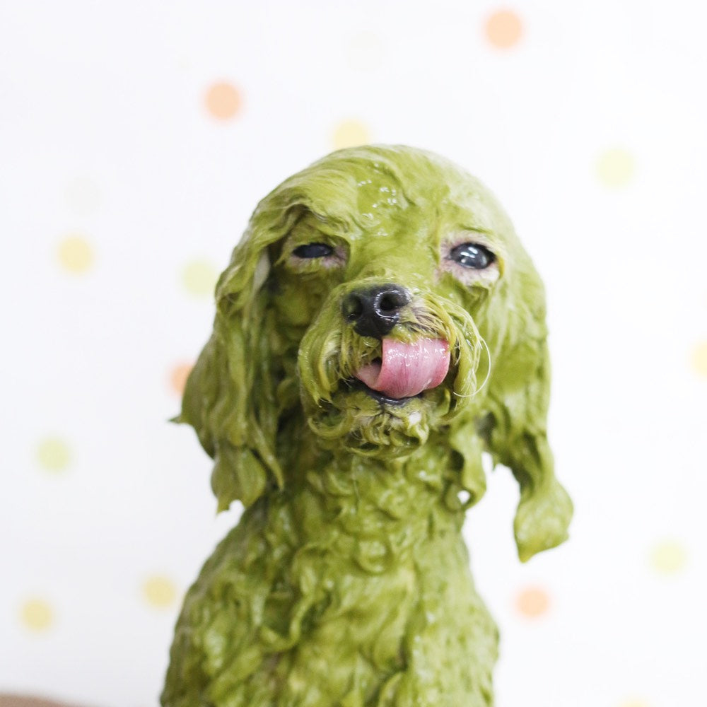 Animal Ayurveda Doctor's Health Herb Skin & Hair Treatment For Dogs 1kg - Kohepets