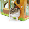 Animan Cardboard Playland for Hamsters (Forest) - Kohepets