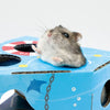 Animan Cardboard Playland for Hamsters (Sea) - Kohepets