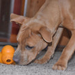 OurPet's Atomic Treat Ball Interactive Dog Toy - 3 inch - Kohepets
