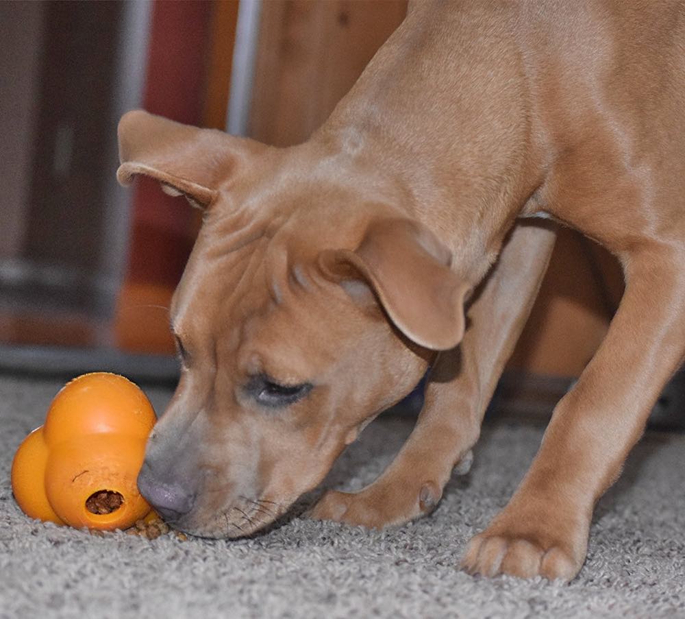 OurPet's Atomic Treat Ball Interactive Dog Toy - 3 inch - Kohepets