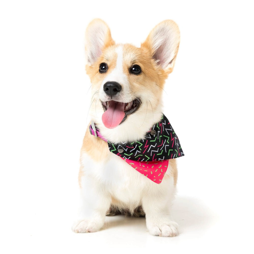 FuzzYard Juicy Pet Bandana (Medium/Large) - Kohepets