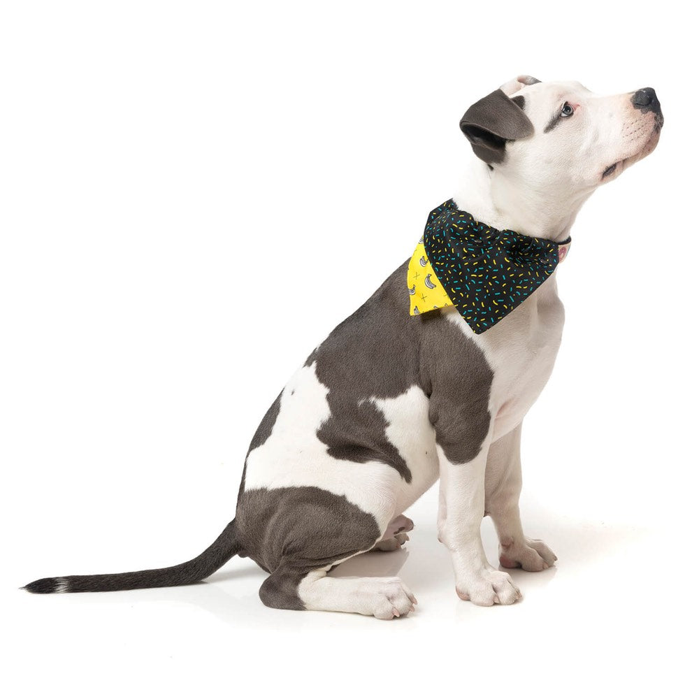 FuzzYard Monkey Mania Pet Bandana (Medium/Large) (discontinued) - Kohepets
