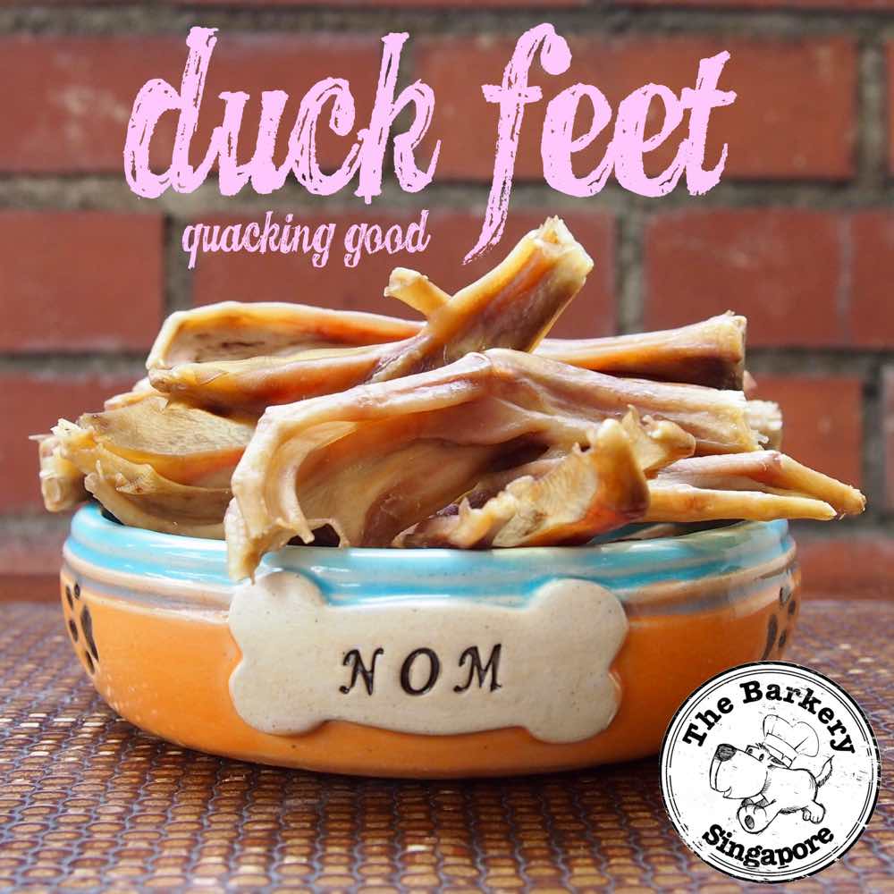 The Barkery Duck Feet Dehydrated Dog Treats 100g Kohepets
