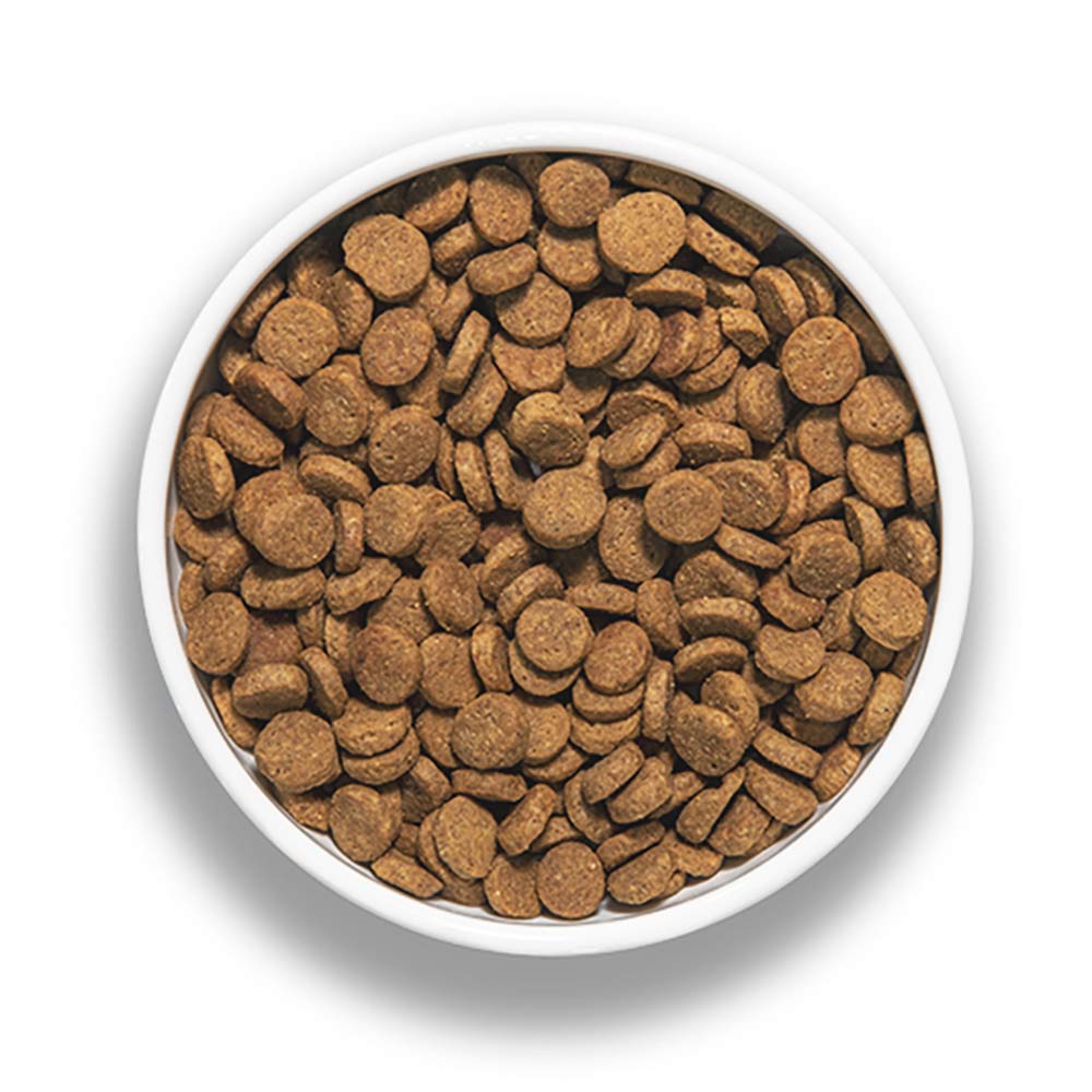 Bixbi Rawbble Pork Limited Ingredient Freeze-Dried Raw Coated Grain-Free Dry Dog Food - Kohepets