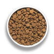 Bixbi Rawbble Turkey Limited Ingredient Freeze-Dried Raw Coated Grain-Free Dry Dog Food - Kohepets