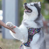 Boss & Olly Active Dog Harness (Aztec Rainbow)