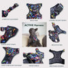 Boss & Olly Active Dog Harness (Autumn Leaves)