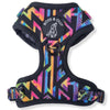 Boss & Olly Adjustable Dog Harness (Aztec Rainbow)