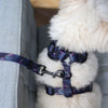 Boss & Olly Adjustable Dog Harness (Midnight Dreams)