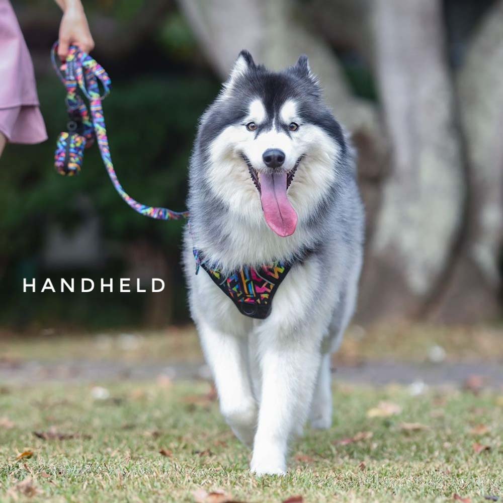 Boss & Olly Convertible Multi-Functional Dog Leash (Aztec Rainbow)