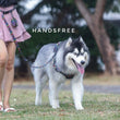 Boss & Olly Convertible Multi-Functional Dog Leash (Aztec Rainbow)