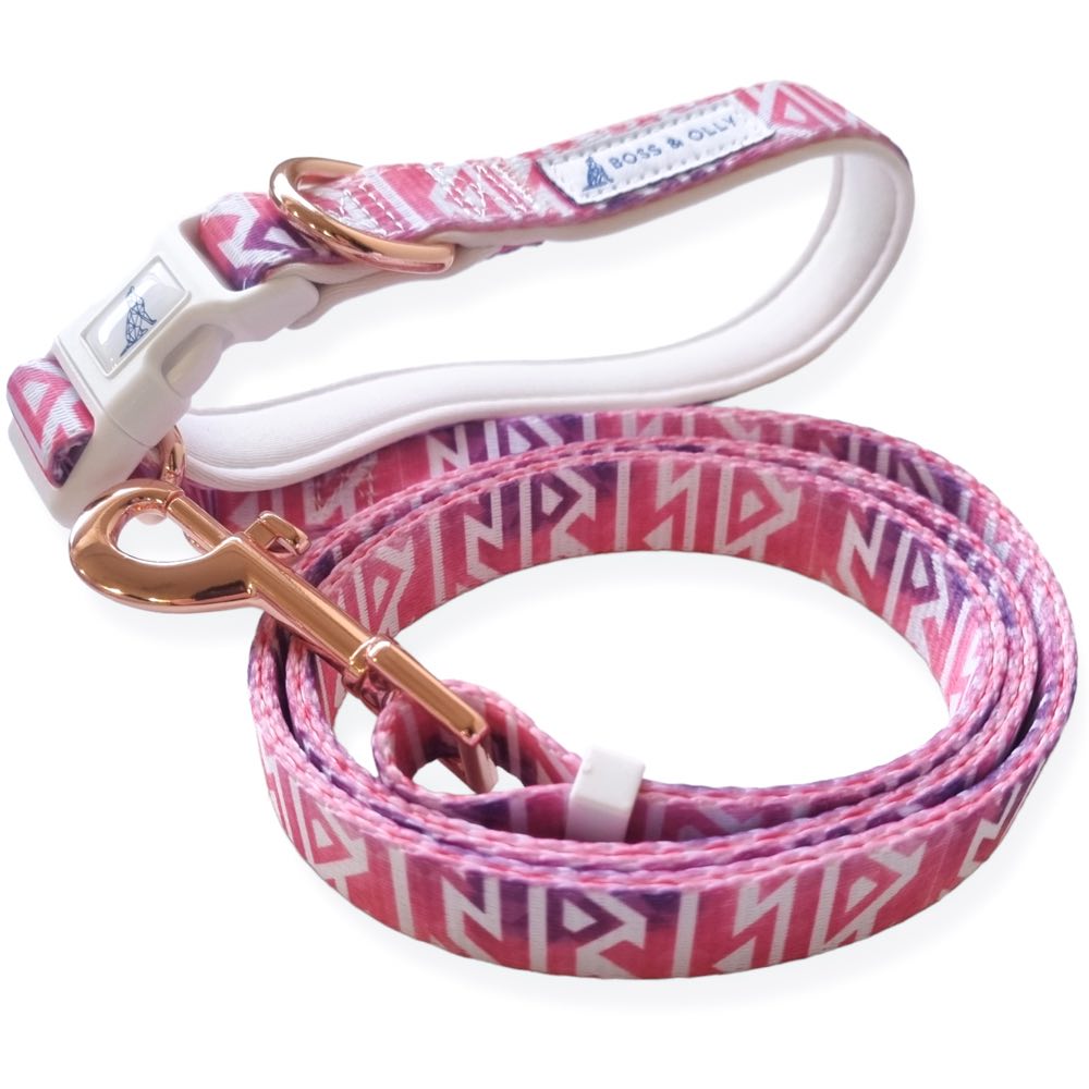 Boss & Olly Convertible Multi-Functional Dog Leash (Fruity Sorbet)