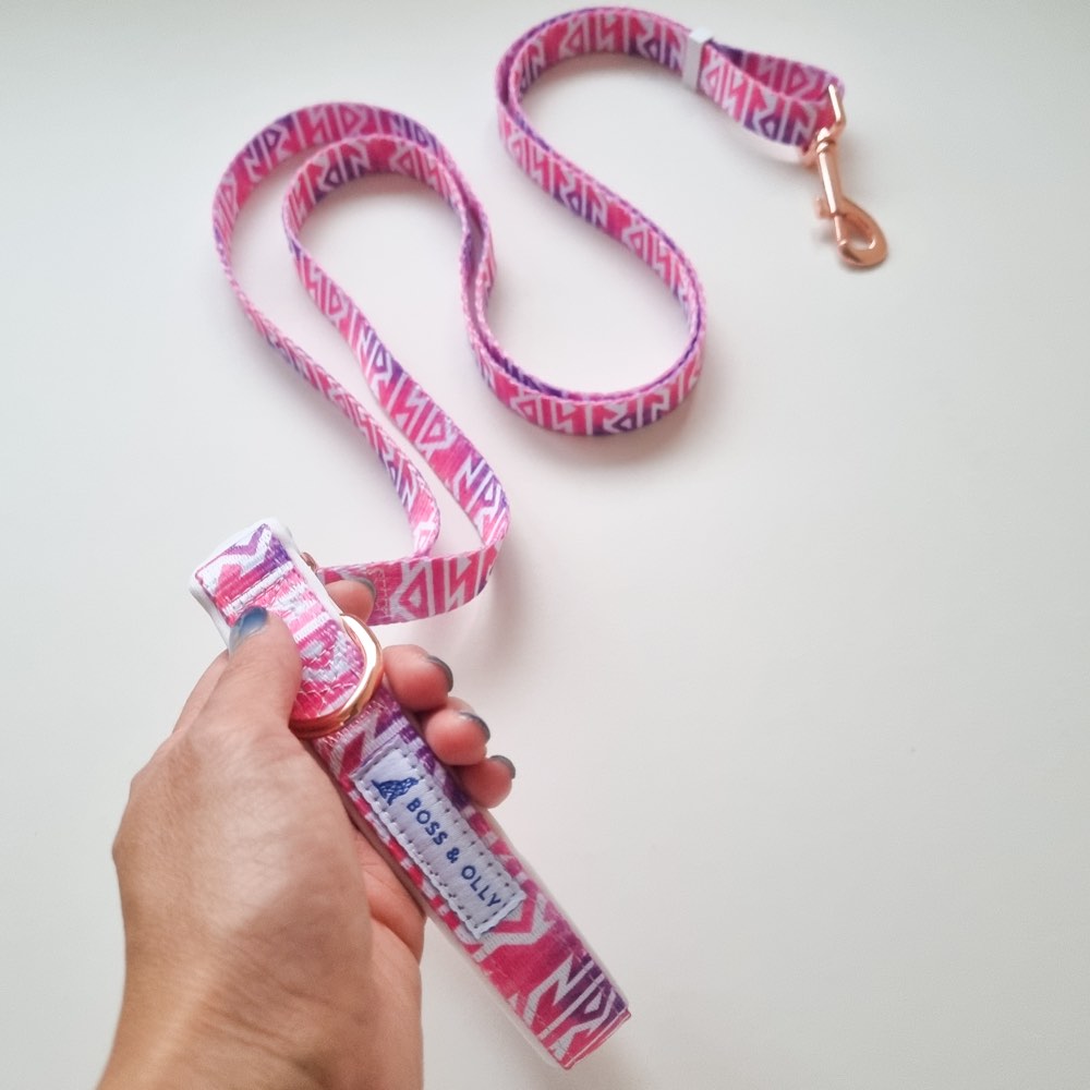 Boss & Olly Convertible Multi-Functional Dog Leash (Fruity Sorbet)
