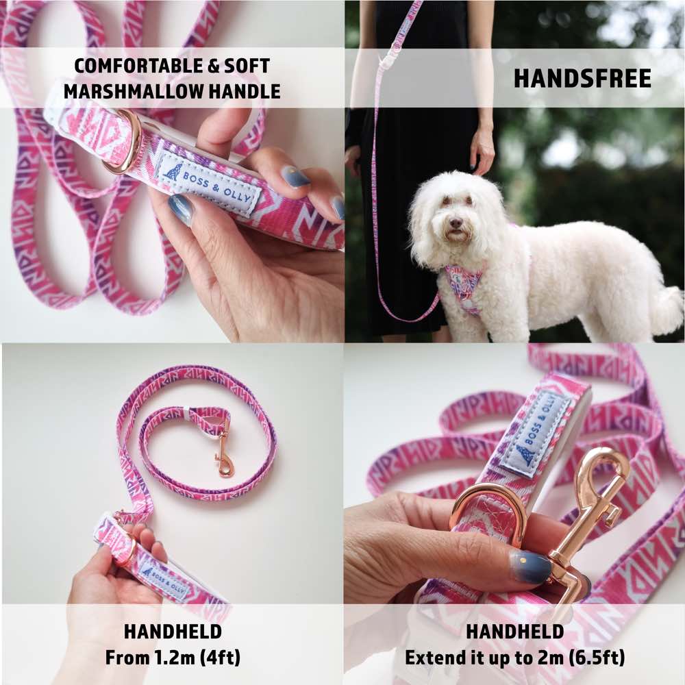 Boss & Olly Convertible Multi-Functional Dog Leash (Fruity Sorbet)