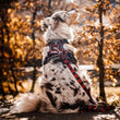 Boss & Olly Convertible Multi-Functional Dog Leash (Lumberjack Plaids)