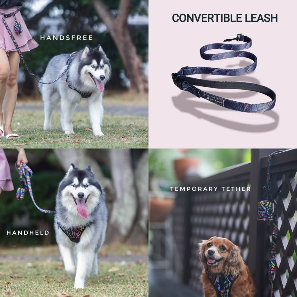 Boss & Olly Convertible Multi-Functional Dog Leash (Fruity Sorbet)
