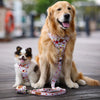 Boss & Olly Dog Poo Bag Holder (Autumn Leaves)