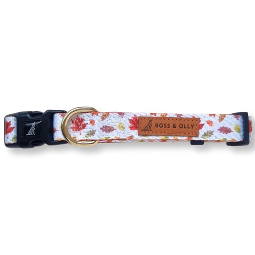 Boss & Olly Dog Collar (Autumn Leaves) Kohepets