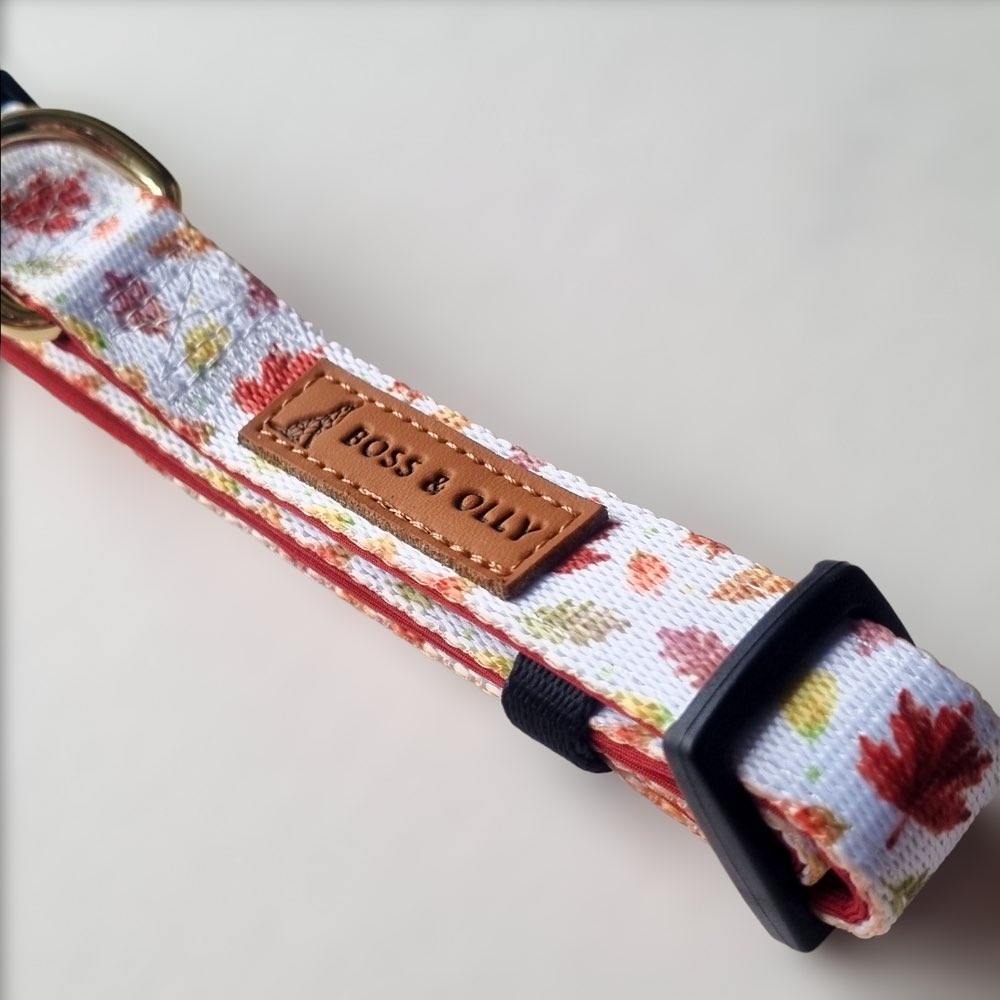 Boss & Olly Dog Collar (Autumn Leaves)