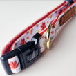 Boss & Olly Dog Collar (Autumn Leaves)