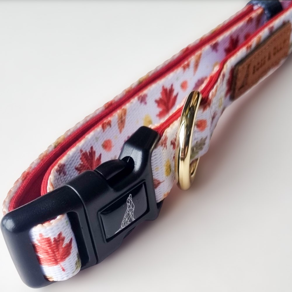 Boss & Olly Dog Collar (Autumn Leaves)