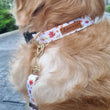 Boss & Olly Dog Collar (Autumn Leaves)