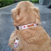 Boss & Olly Dog Collar (Autumn Leaves)