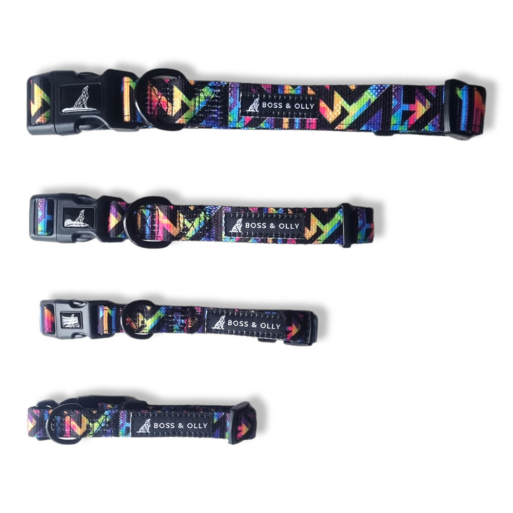 Boss & Olly Dog Collar (Aztec Rainbow)