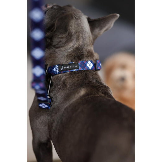 Boss & Olly Dog Collar (Nautical Plaids) Kohepets