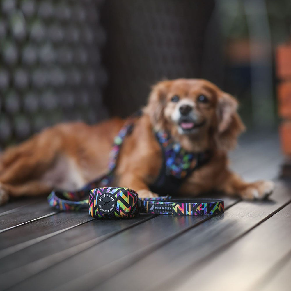 Boss & Olly Dog Poo Bag Holder (Aztec Rainbow)