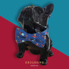 Bowtix Handmade Dog Collar With Removable Bowtie - Cosmic Spaceship - Kohepets