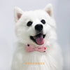 Bowtix Handmade Dog Collar With Removable Bowtie - Cross Cross - Kohepets