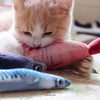 Bowtix Fish Market Catnip-Filled Cat Toy - Kohepets